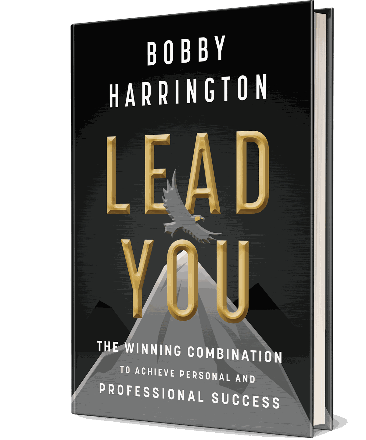 Lead You, by Bobby Harrington. The book cover.